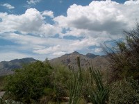 sabino view 